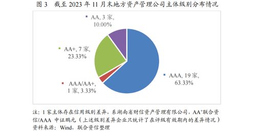 2024年中國地方資產(chǎn)管理行業(yè)信用風(fēng)險(xiǎn)展望